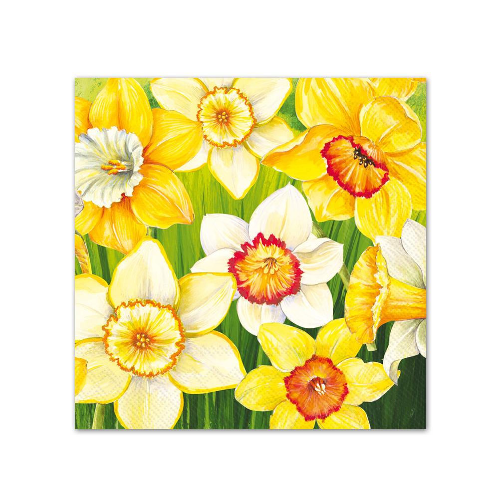 Daffodils Field Paper Beverage Napkins