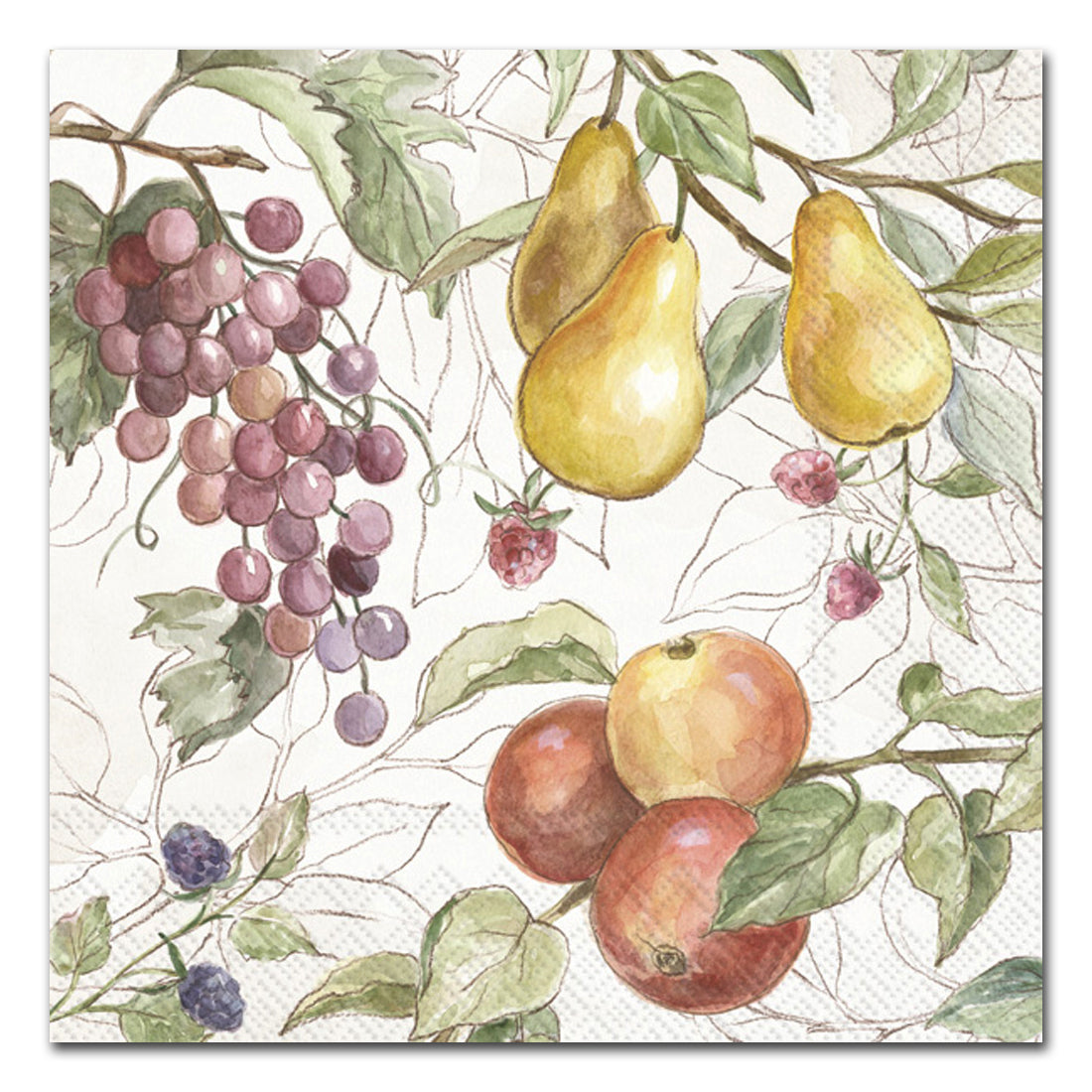 Country Fall Fruits Paper Luncheon Napkins