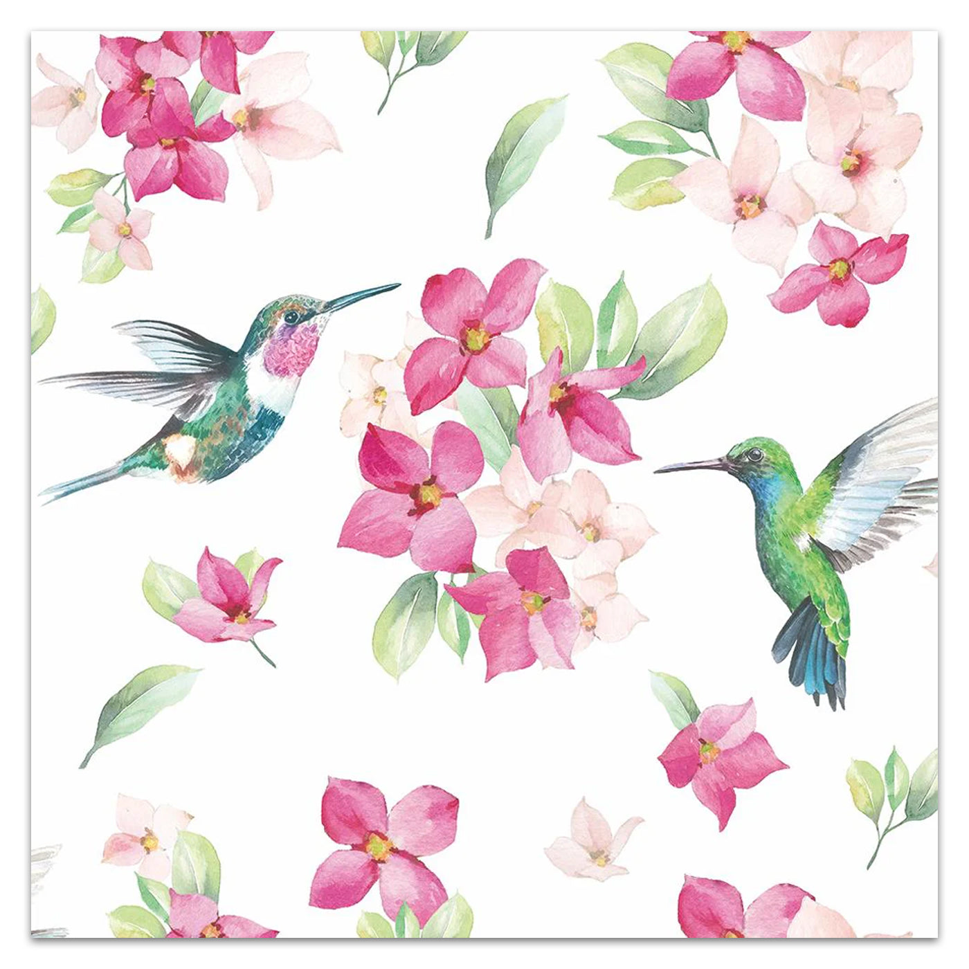 Hummingbirds
