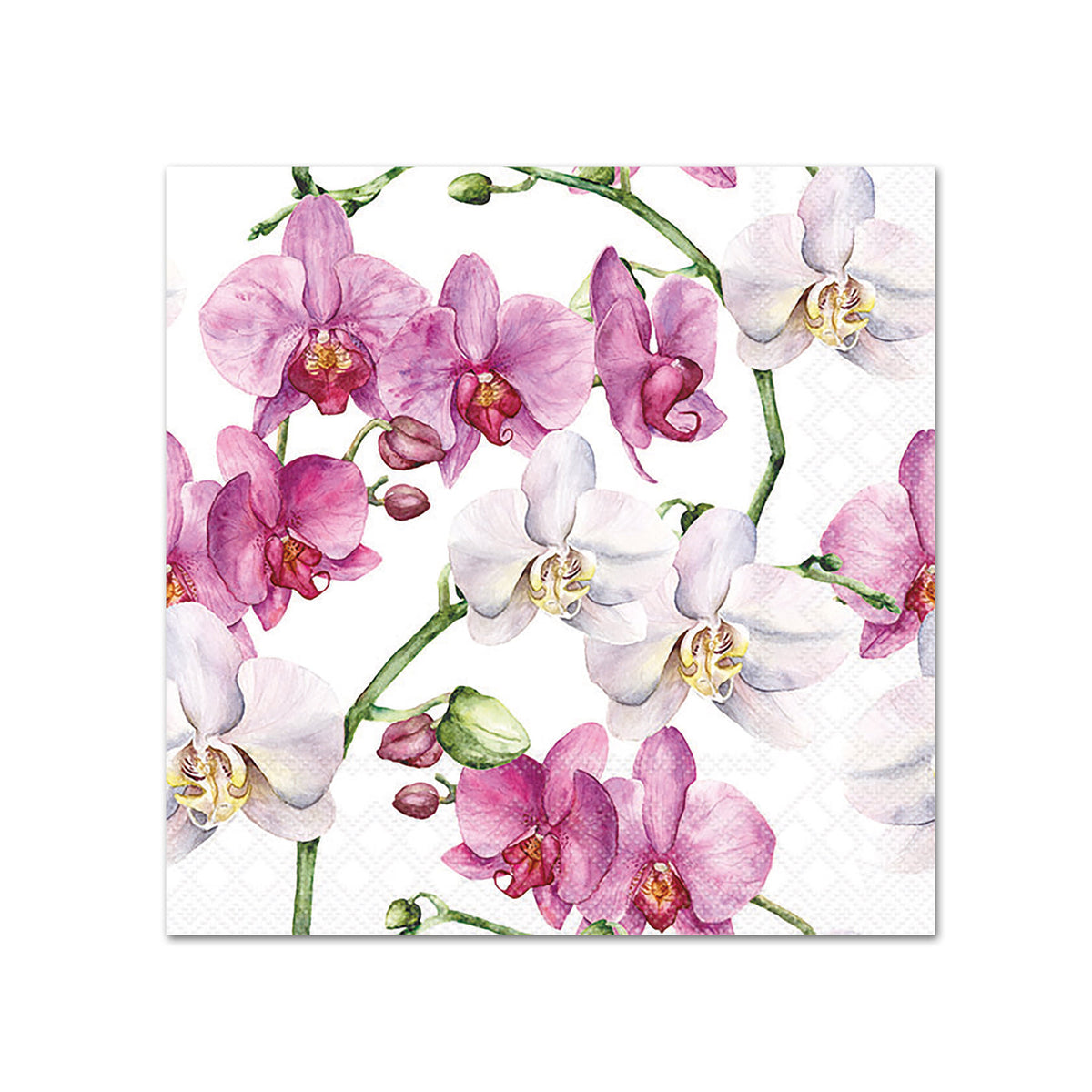 Elegant Orchids Paper Beverage Napkins