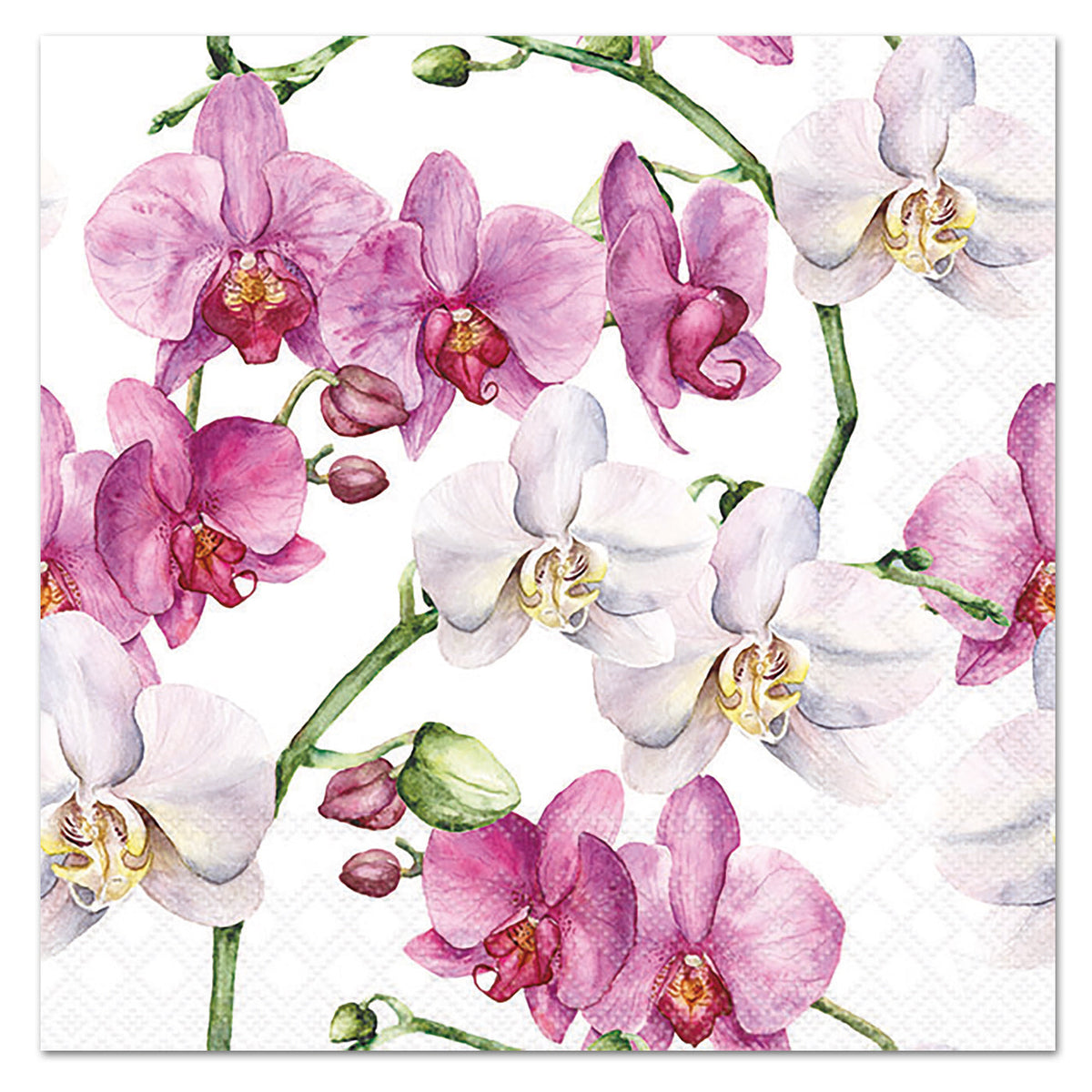Elegant Orchids Paper Luncheon Napkins
