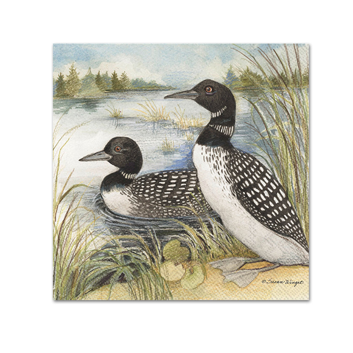 Lake Loons Paper Beverage Napkins