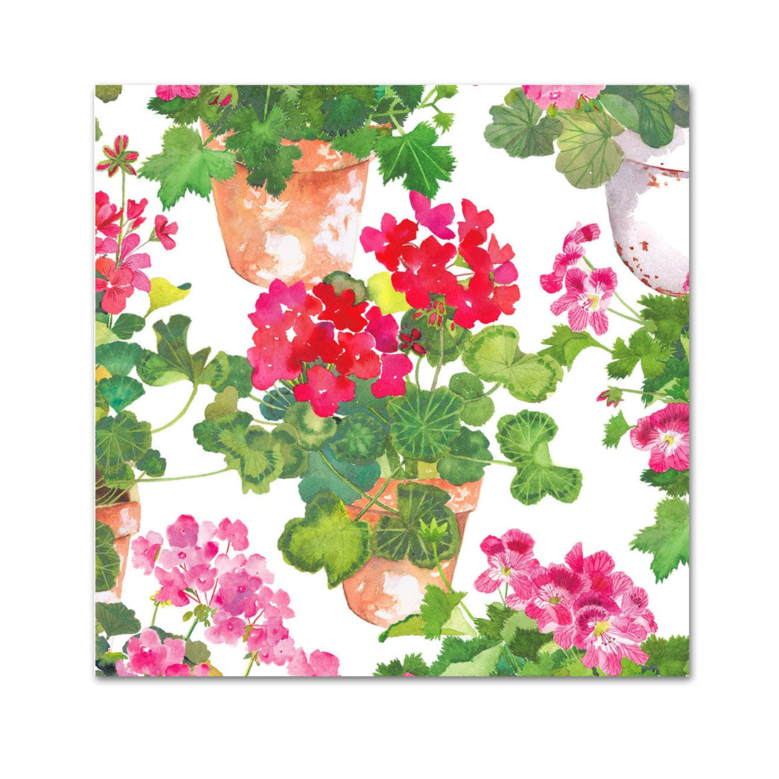 Trailing Geranium Paper Beverage Napkins