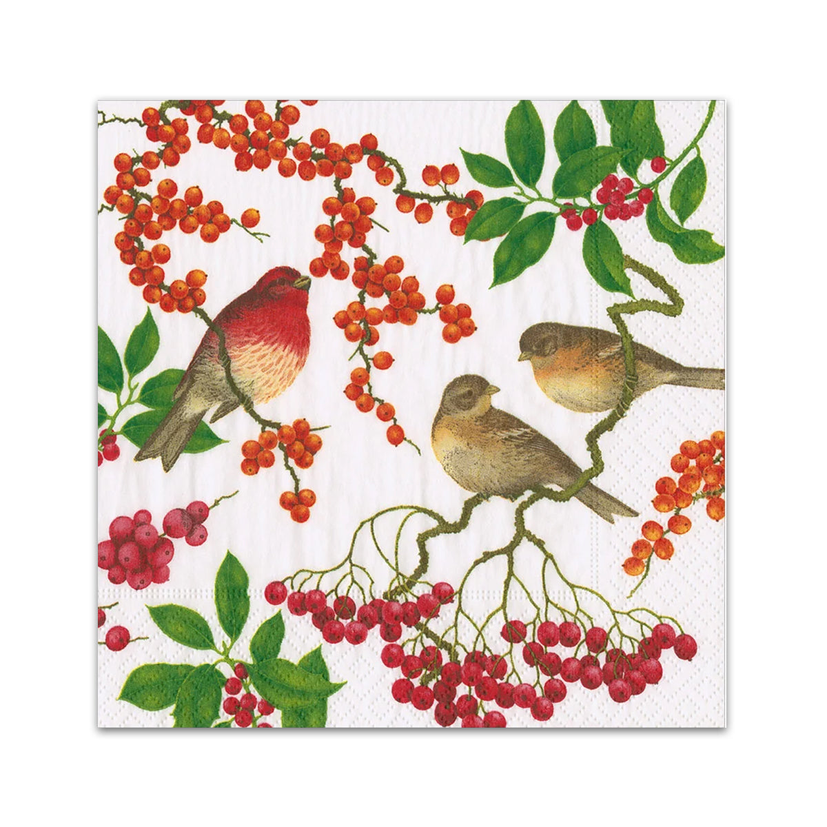 Birds & Berries White Paper Beverage Napkins