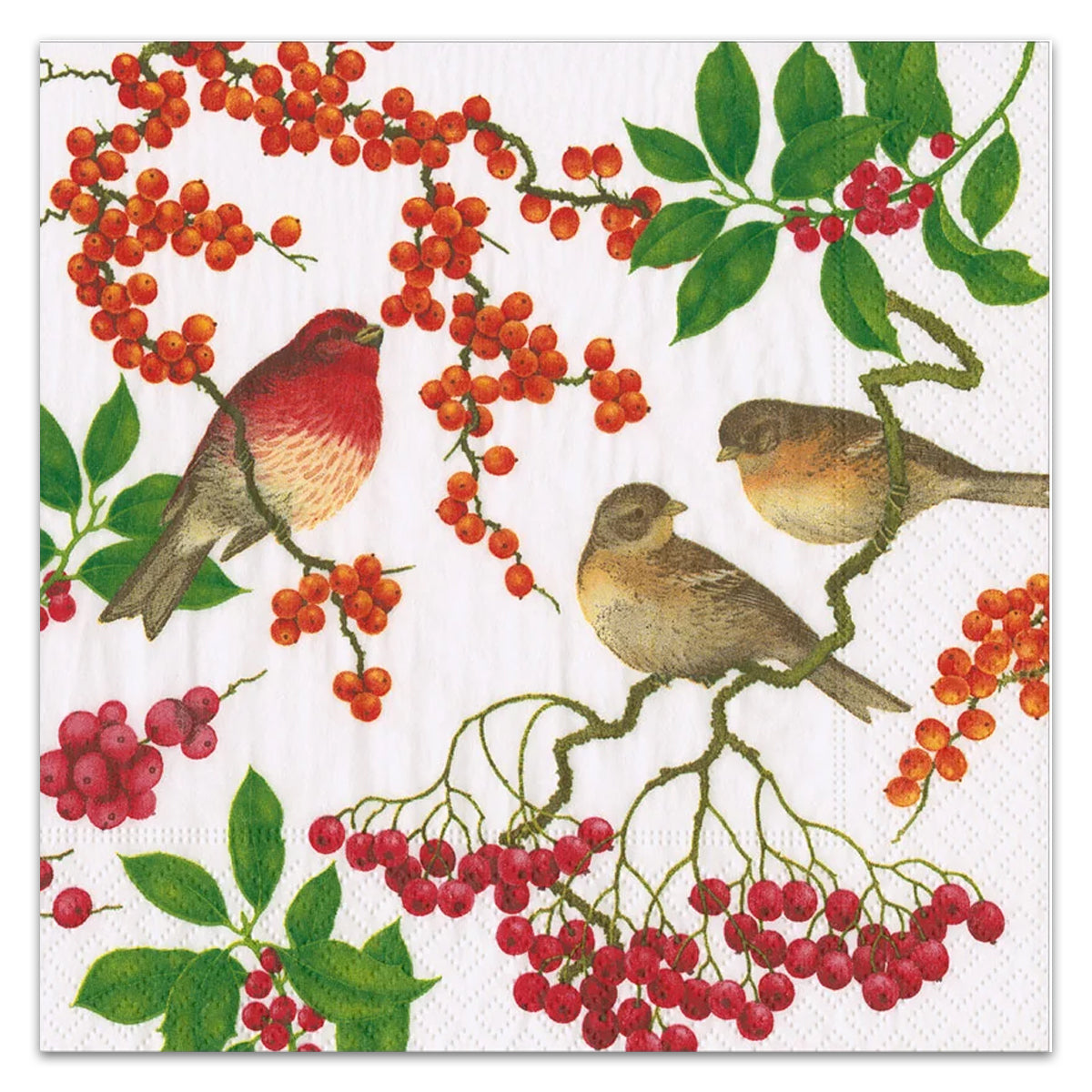 Birds & Berries White Paper Luncheon Napkins