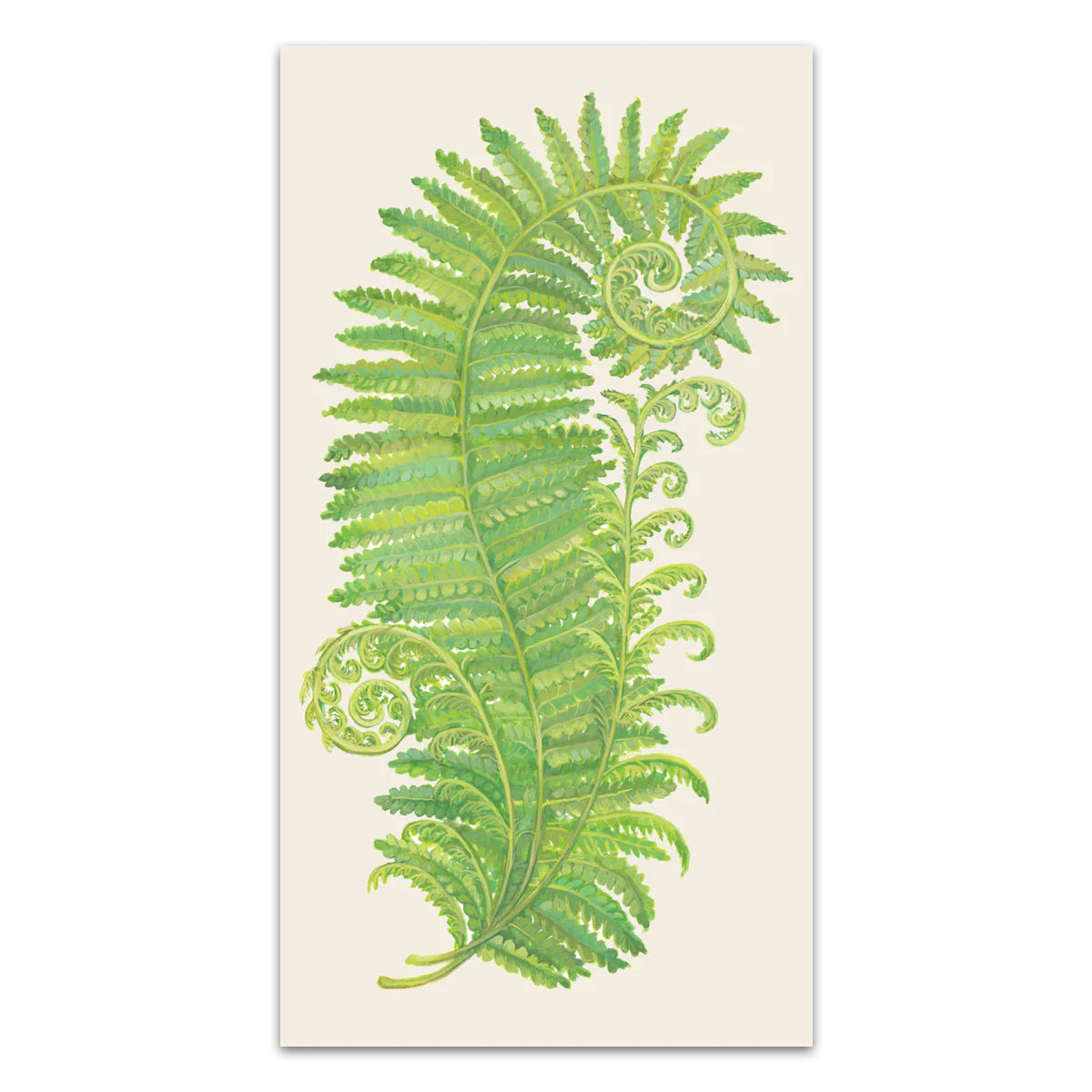 Fern Leaf Botanical Paper Guest Towels - Buffet Napkins