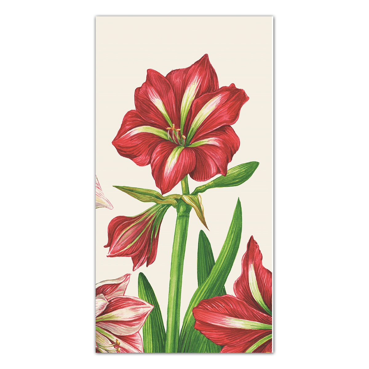 Amaryllis Blooms Paper Guest Towels - Buffet Napkins