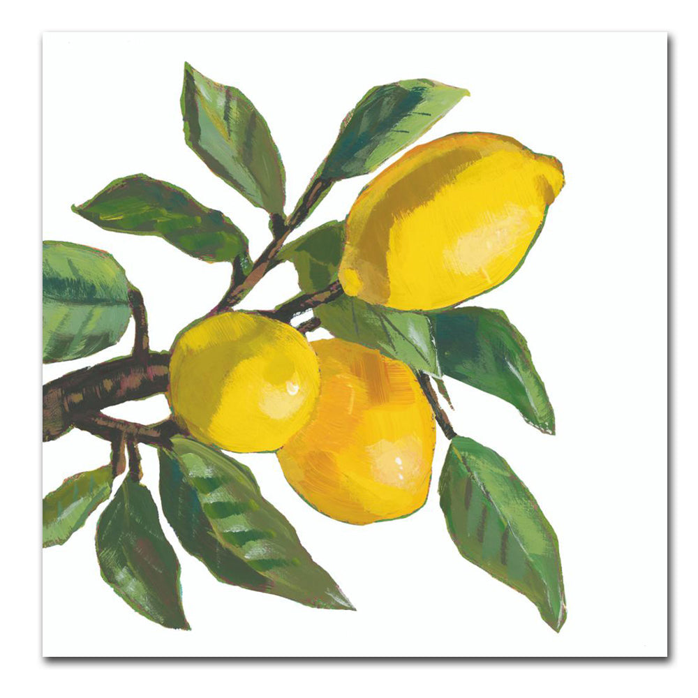 Lemon Musee Paper Luncheon Napkins
