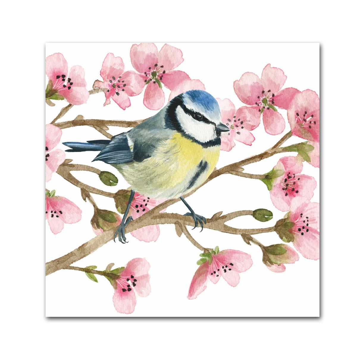 Blue Tit Song Birds Paper Beverage Napkins