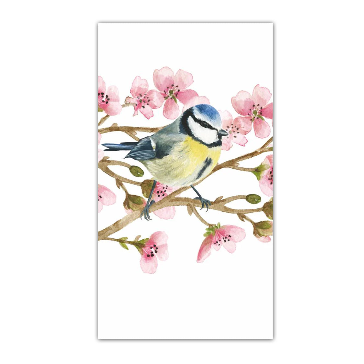 Blue Tit Song Birds Blue Tit Paper Guest Towels