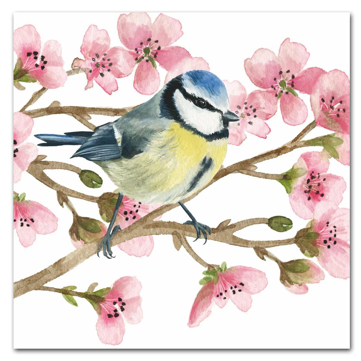 Blue Tit Song Birds Blue Tit Paper Luncheon Napkins