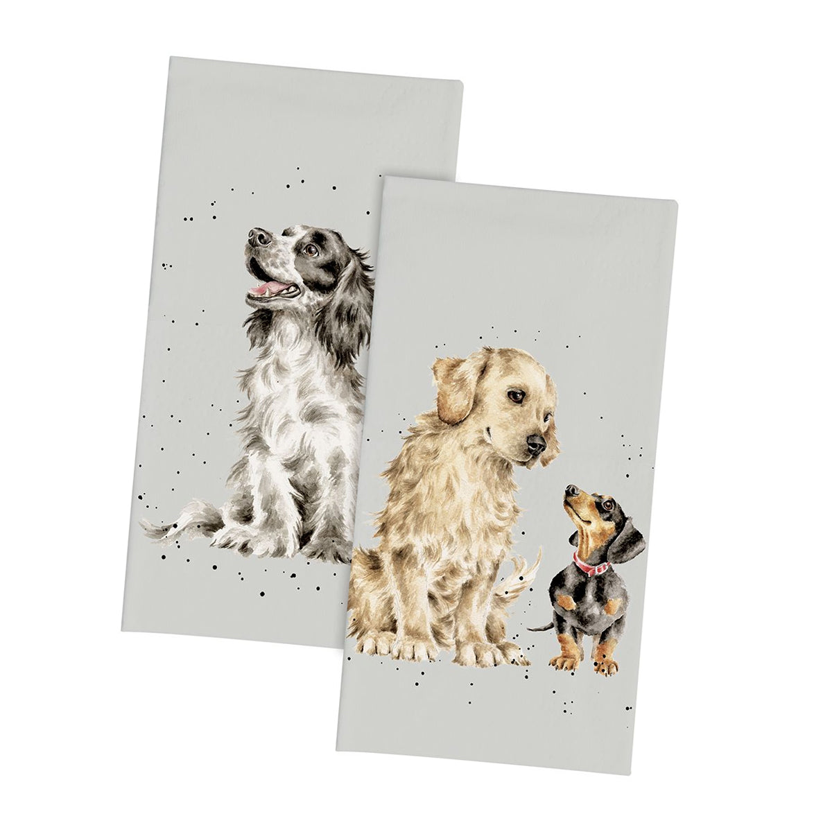 Dogs Paper Pocket Tissues by Wrendale