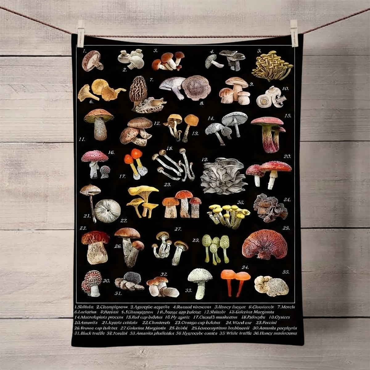 Wild Mushrooms Chart Kitchen Towel