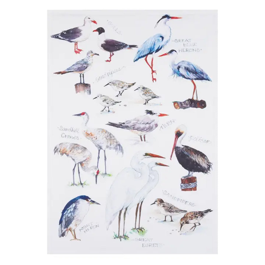 Shorebirds Field Guide Cotton Kitchen Towel