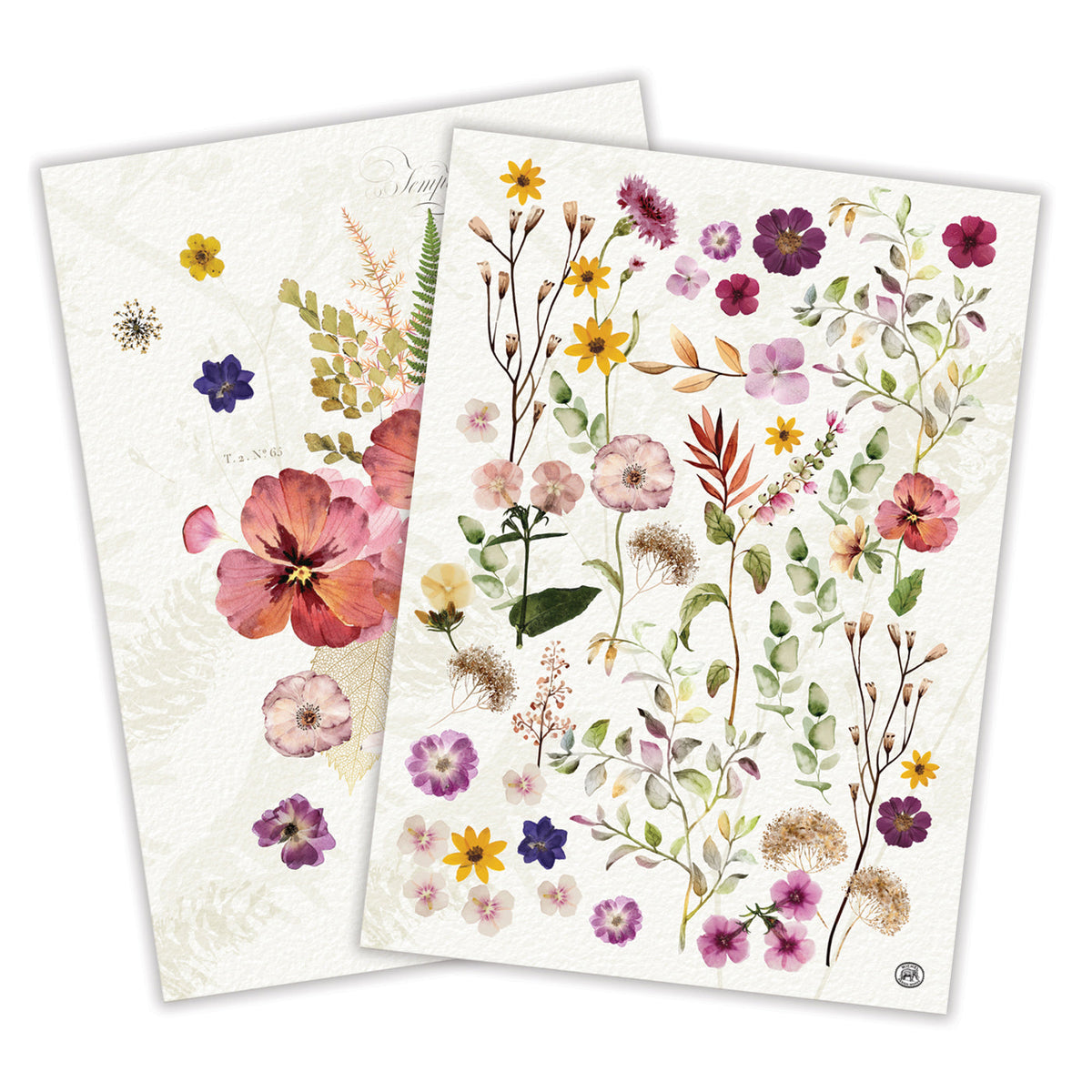 Pressed Flowers Cotton Kitchen Towels (Set of 2)