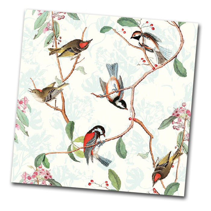 Song Birds Paper Napkins - Luncheon