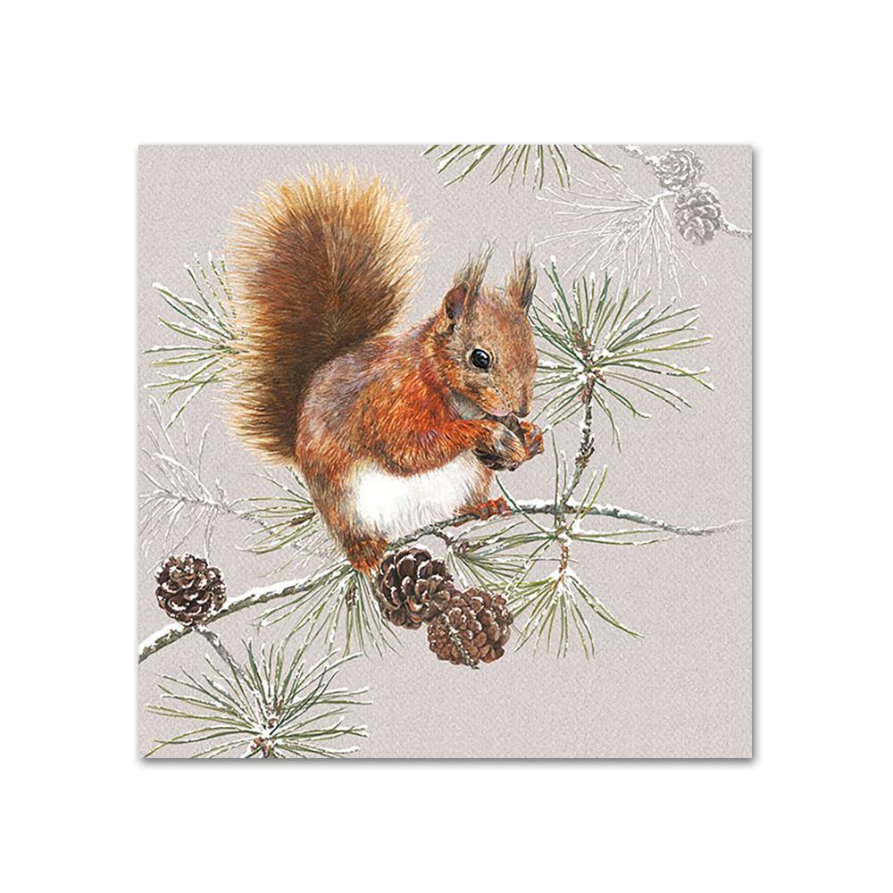 Squirrel In Winter Paper Napkins - Beverage
