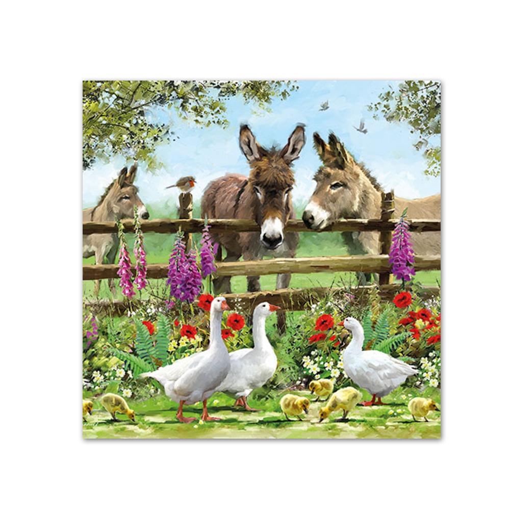 Summertime Donkeys Beverage Napkins