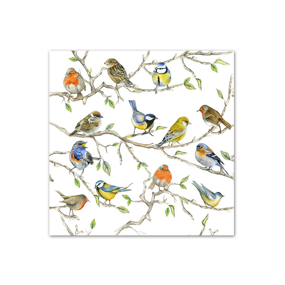 Song Bird Gathering Paper Beverage Napkins