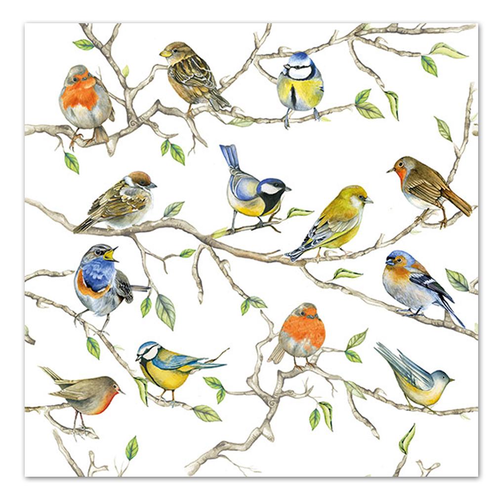 Song Bird Gathering Paper Luncheon Napkins