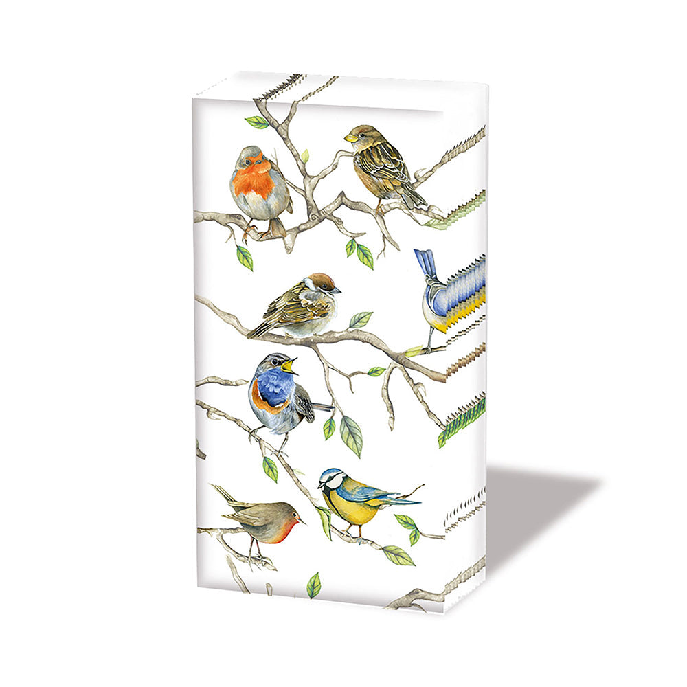 Song Bird Gathering Pocket Tissues