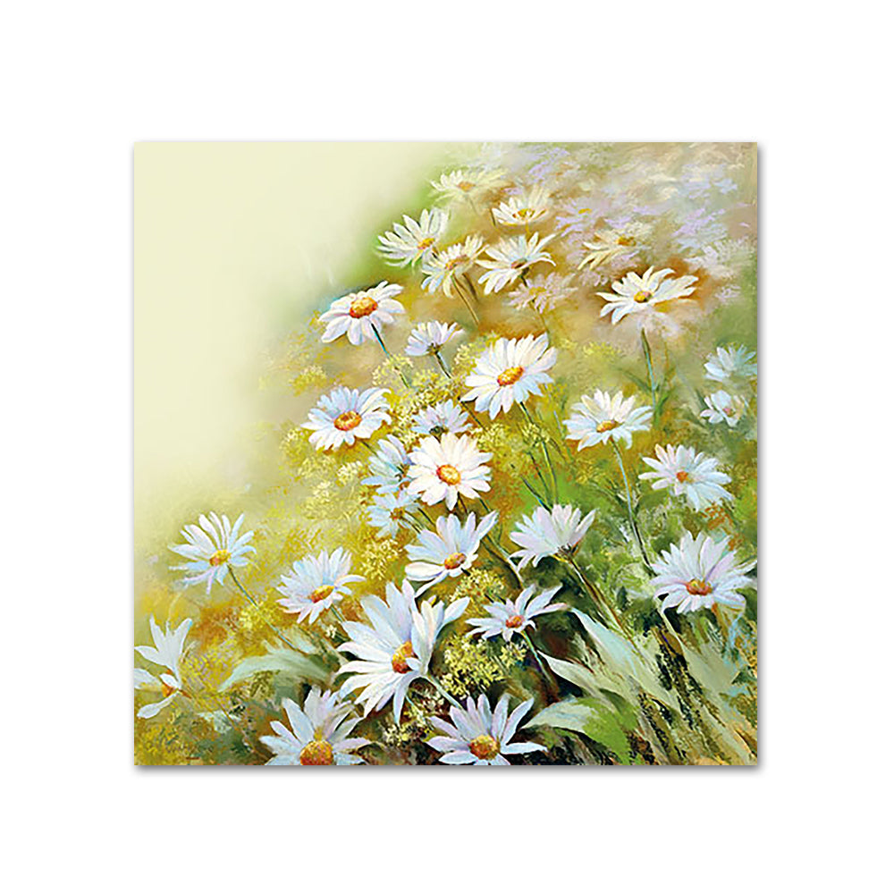 Field of Daisies Paper Beverage Napkins