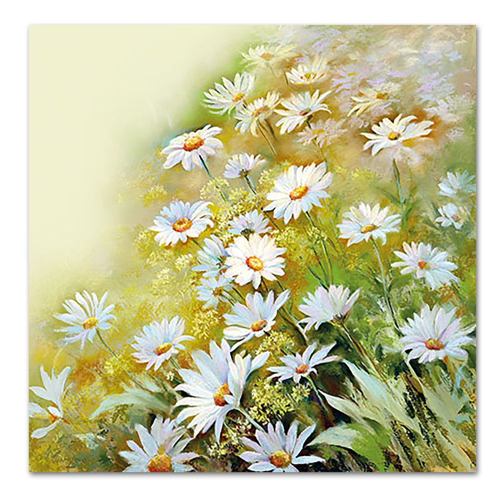 Field of Daisies Paper Luncheon Napkins
