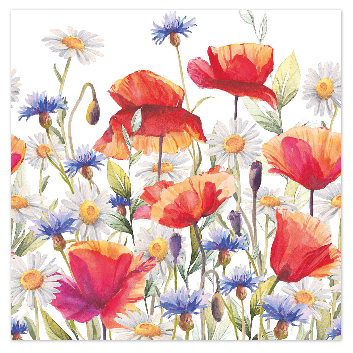 Poppies & Cornflowers Paper Luncheon Napkins