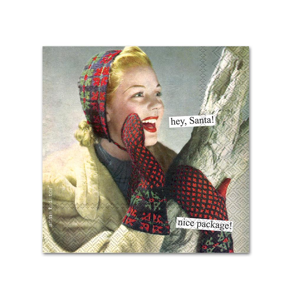 Nice Package Funny Cocktail Napkins by Anne Taintor