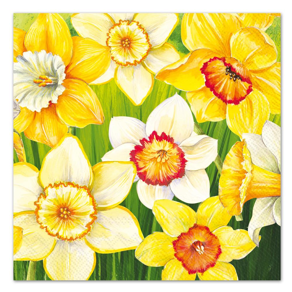 Daffodils Field Paper Luncheon Napkins