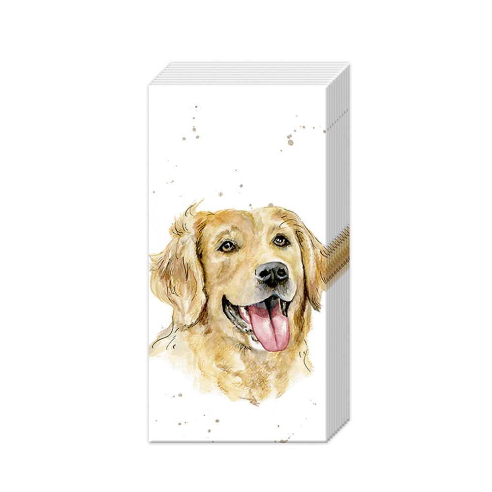 Golden Retriever Paper Pocket Tissues