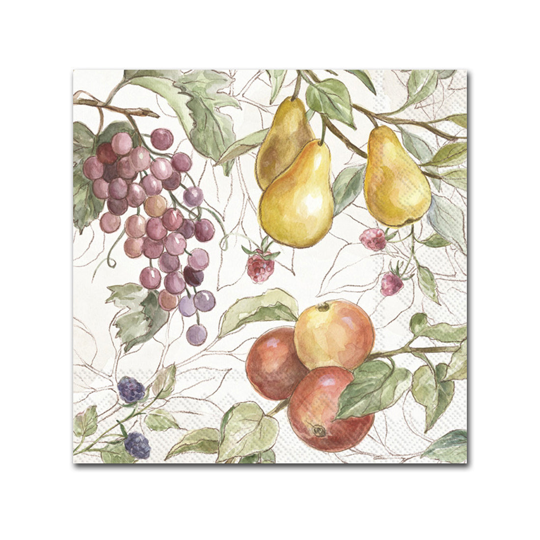 Country Fall Fruits Paper Beverage Napkins
