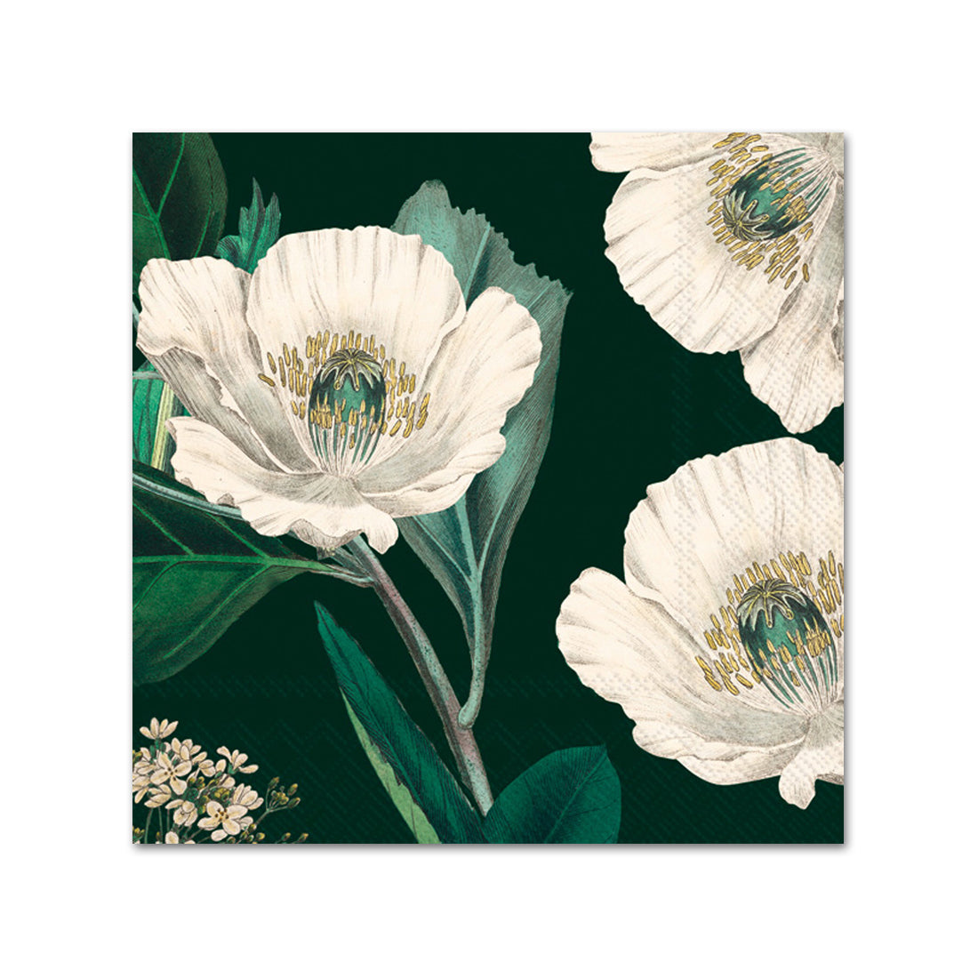 Angama Blooms Dark Green Paper Beverage Napkins