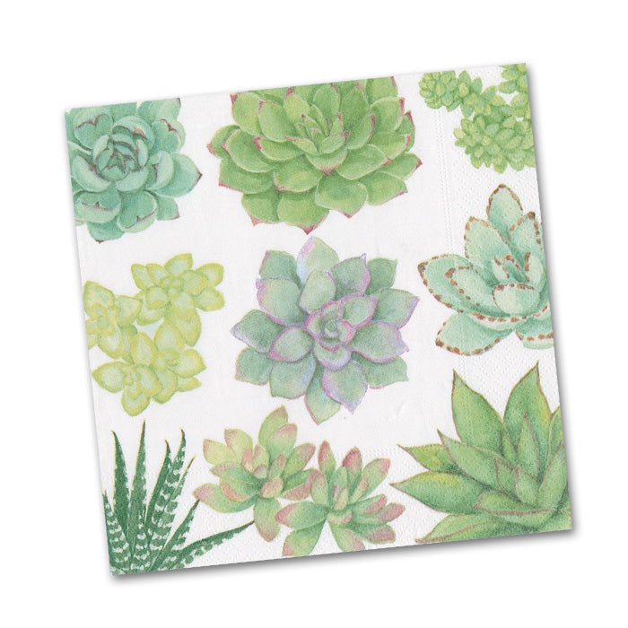 Succulents Paper Beverage Napkins