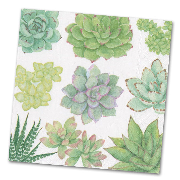 Succulents Paper Luncheon Napkins