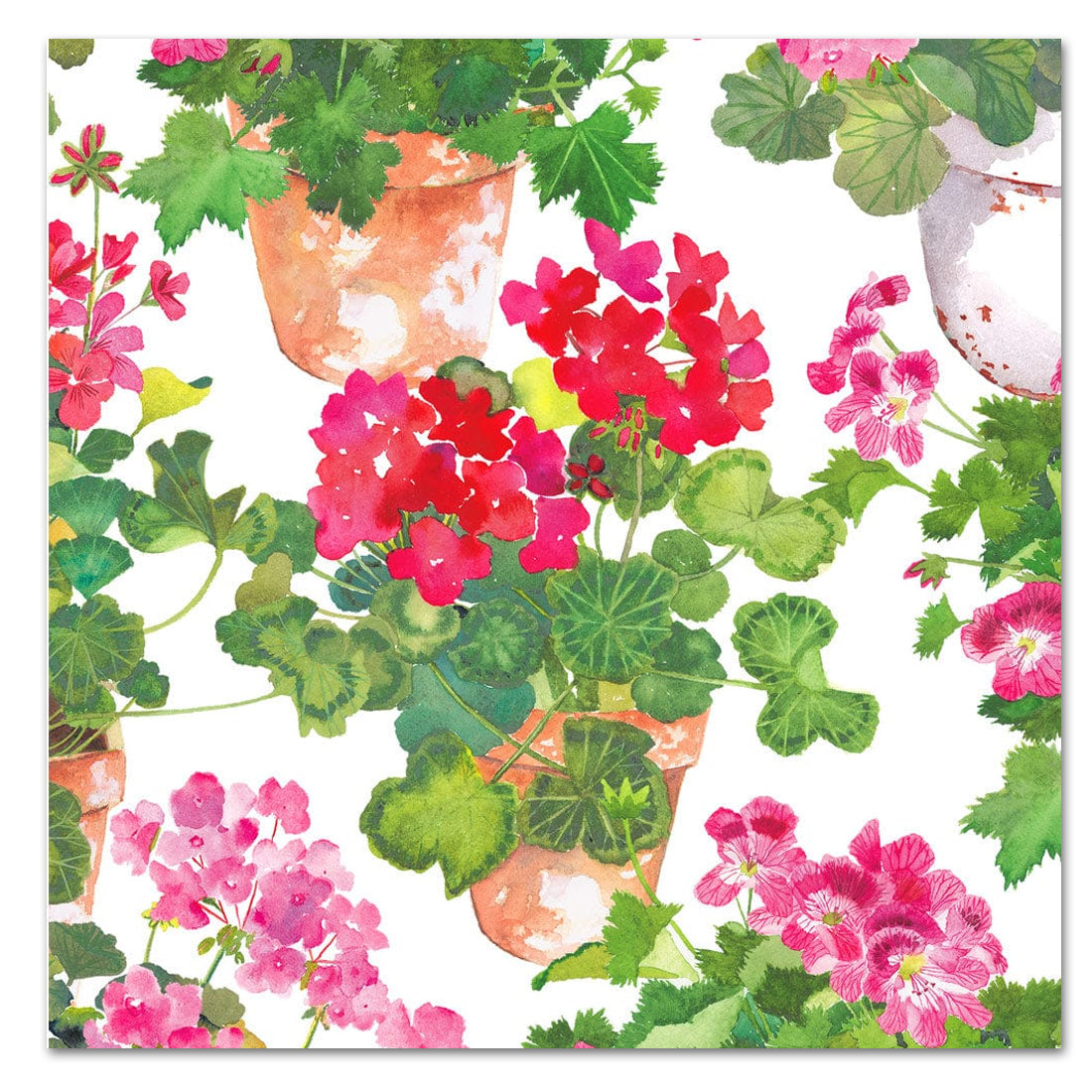 Trailing Geranium Paper Luncheon Napkins