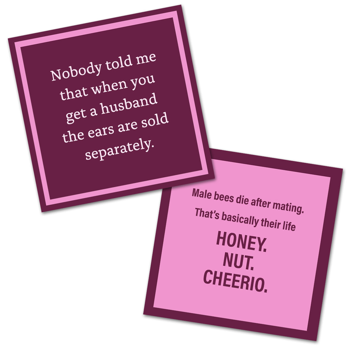 Nobody Told Me - Double the Fun Cocktail Napkins