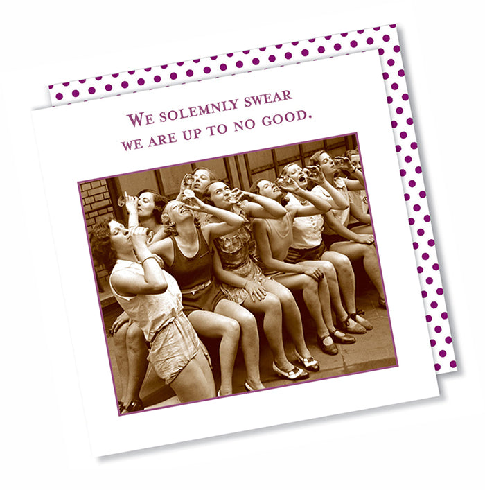 We Solemnley Swear Funny Cocktail Napkins