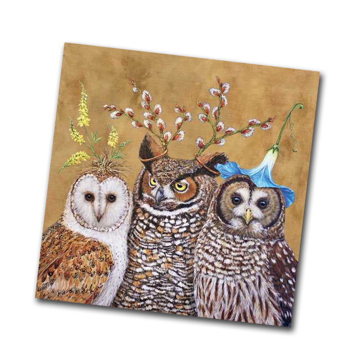 Owl Family Paper Napkins - Beverage