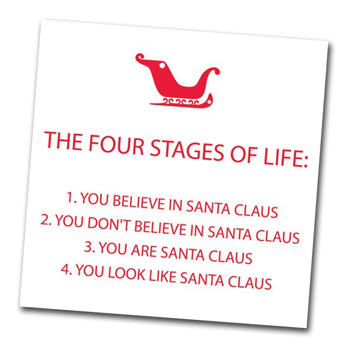 Four Stages of Life Funny Christmas Napkins