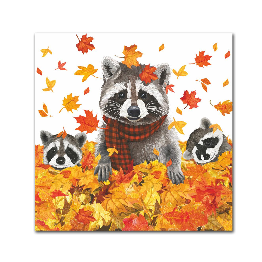 Rocky & Friends Raccoon Paper Beverage Napkins