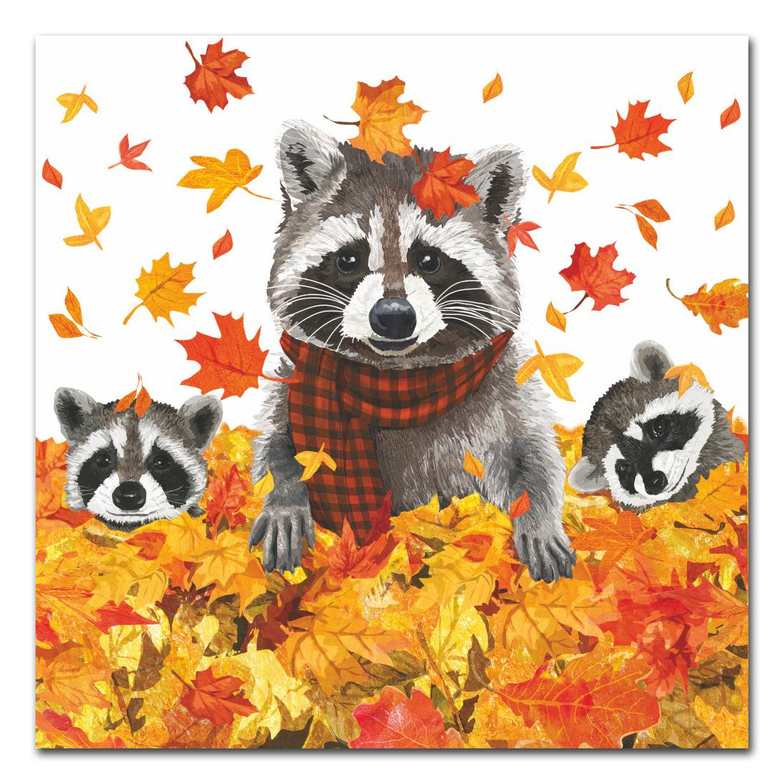 Rocky Rakoon Friend Rocky & Friends Raccoon Paper Luncheon Napkins - Napkins2go