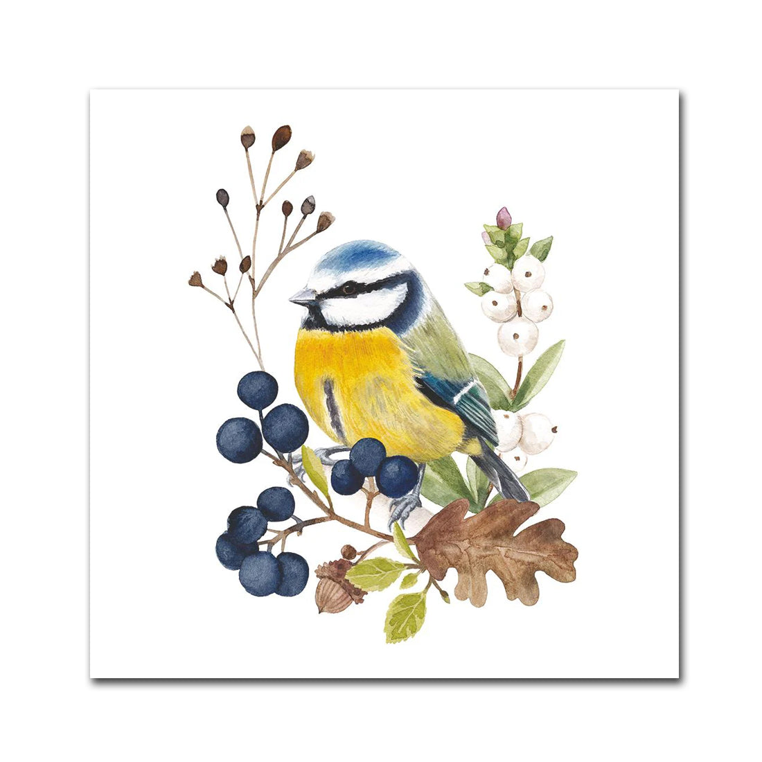 Blue Chickadee Paper Beverage Napkins