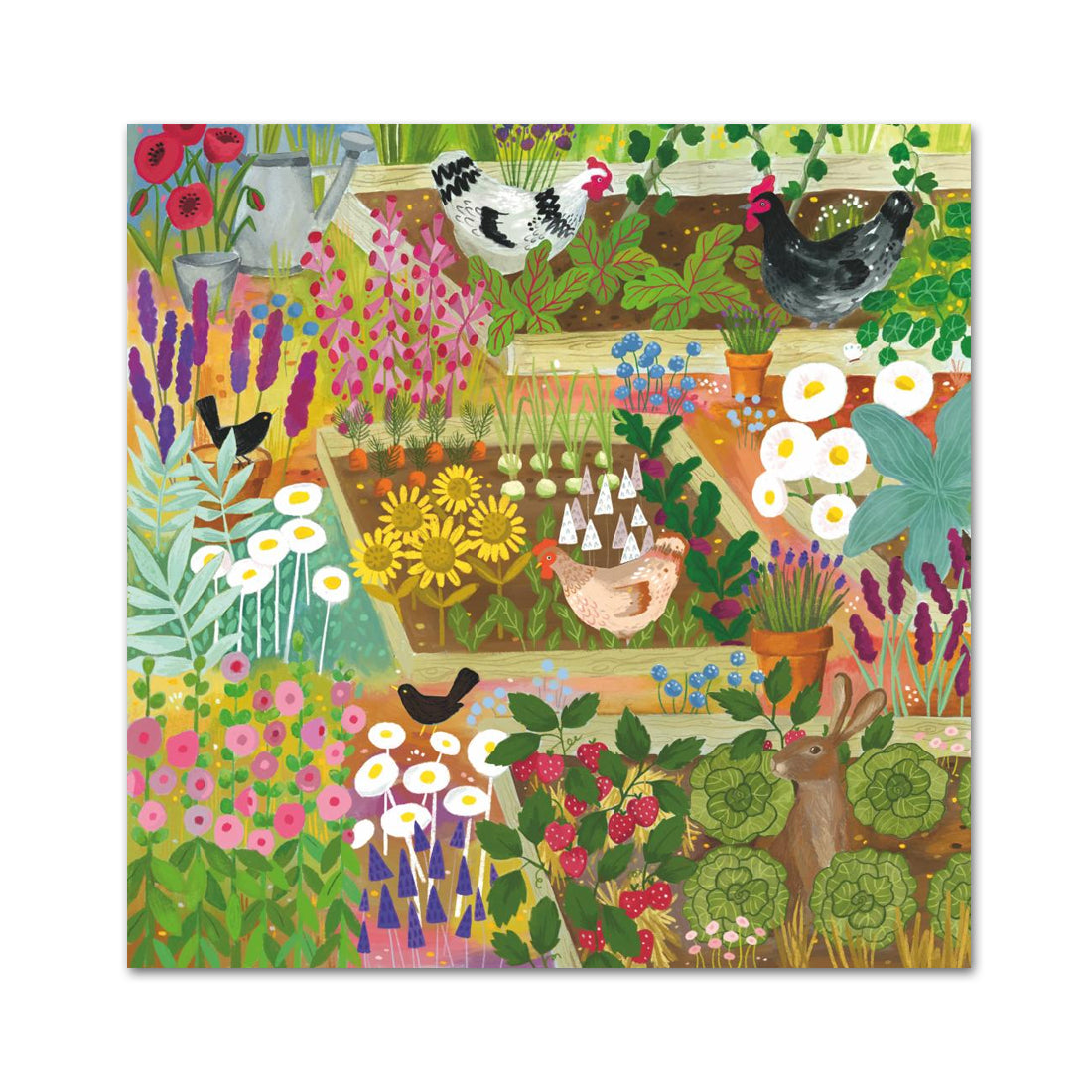 My Chicken Garden Paper Beverage Napkins