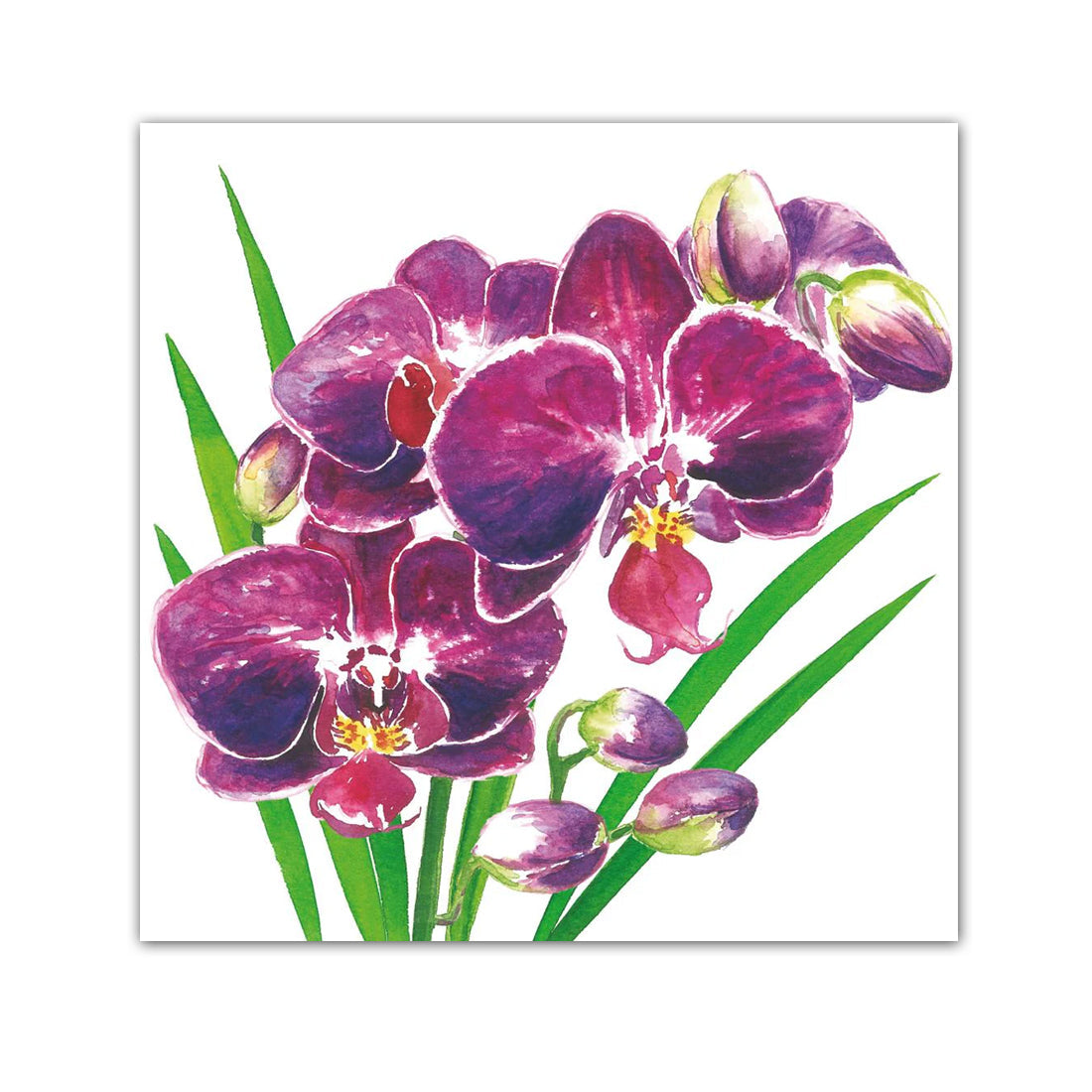 Orchidea Paper Beverage Napkins
