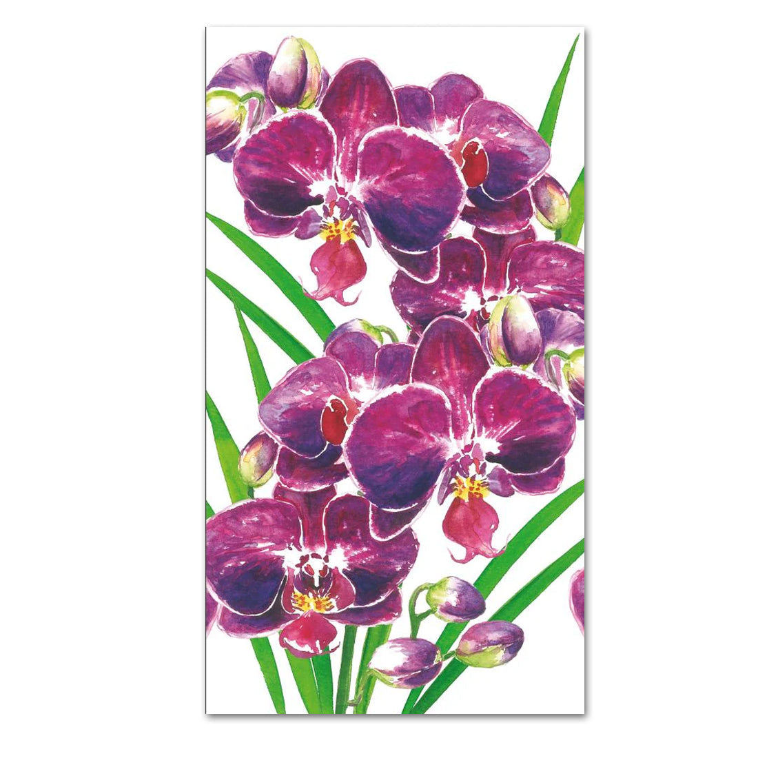 Orchidea Paper Guest Towels - Buffet Napkins
