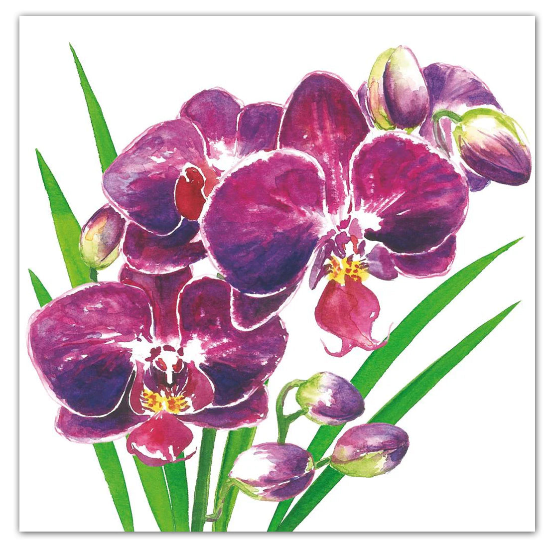 Orchidea Paper Luncheon Napkins