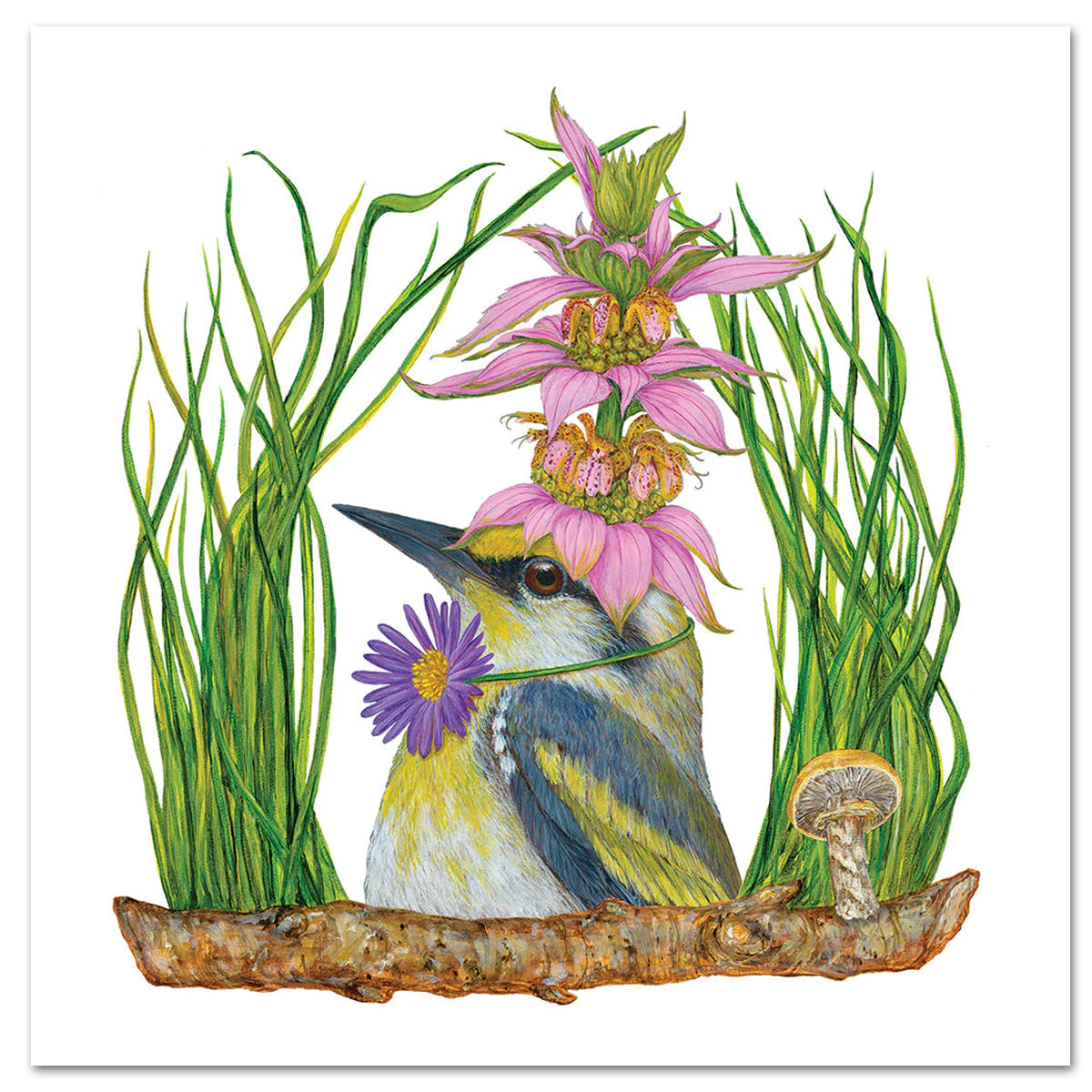 Harper the Warbler Paper Luncheon Napkins by Vicki Sawyer