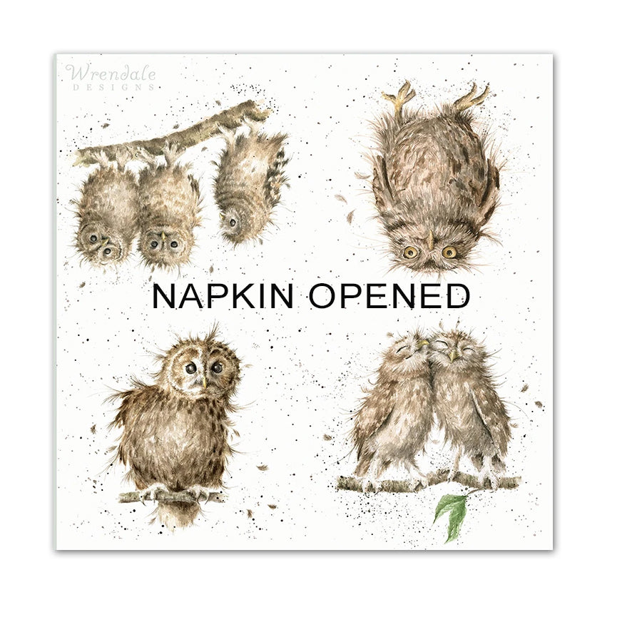 What a Hoot - Owl Paper Napkin Luncheon