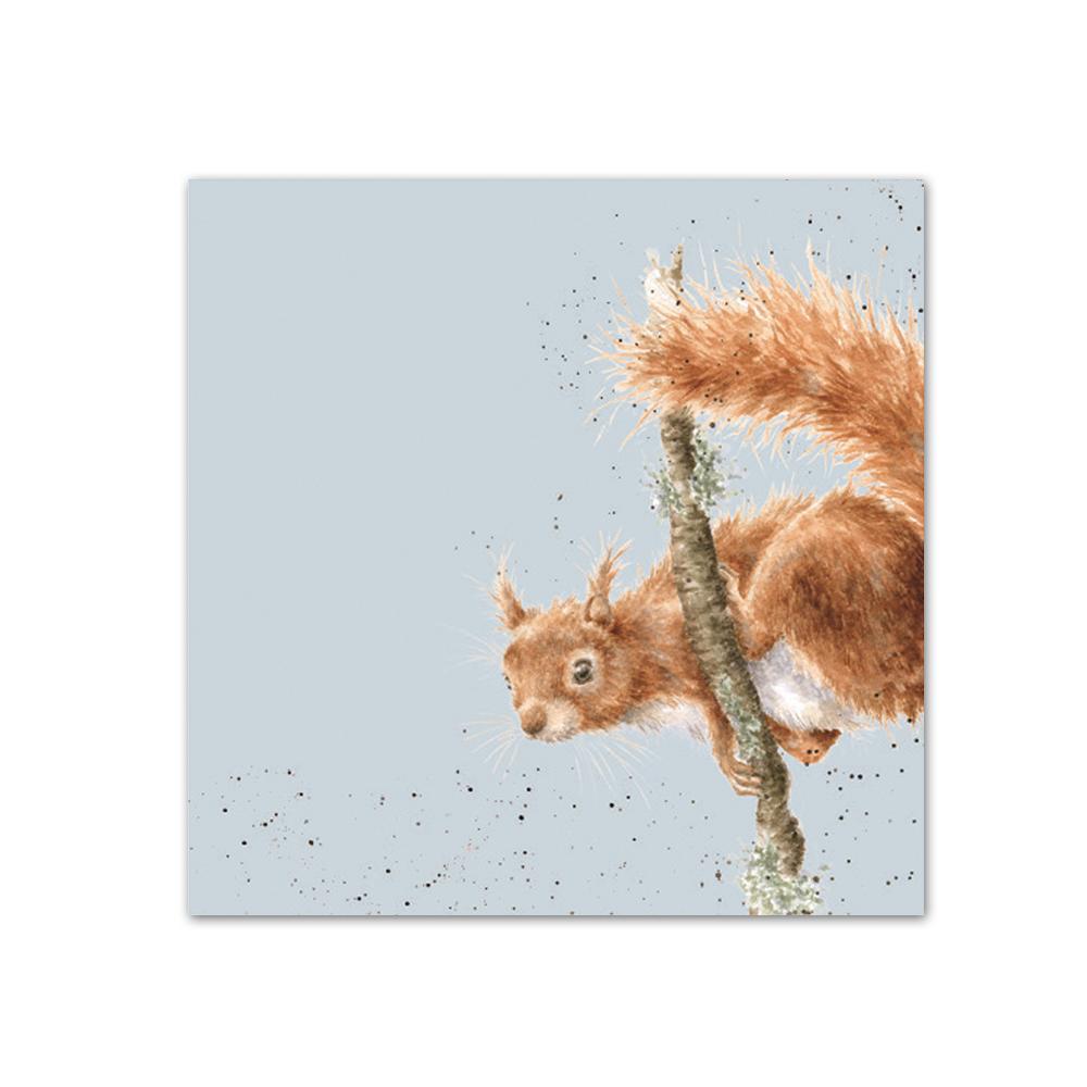 The Acrobat - Squirrel Paper Beverage Napkins